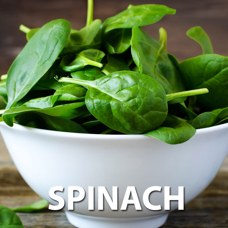 Spinach good source of iron with Ferromedica Iron + Vitamin C for low levels of iron in the blood